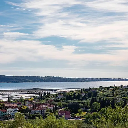 Apartment Larabella Salt Fields View